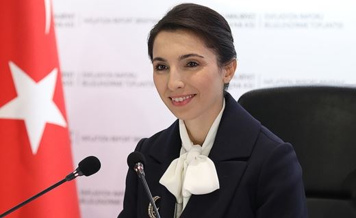 Merkez Bankası Başkanı Hafize Gaye Erkan kimdir, Hafize Gaye Erkan'ın hayatı, biyografisi, Hafize Gaye Erkan kaç yaşında, Hafize Gaye Erkan nereli?