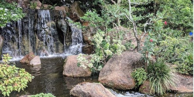 Morikami Museum & Japanese Gardens